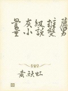 骨灰级推荐高质量小说双男主