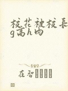 校花被校长抱着g高h肉
