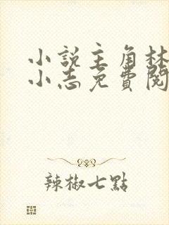 小说主角林姨,小志免费阅读