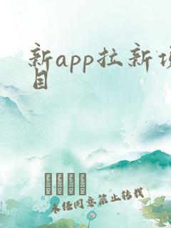新app拉新项目