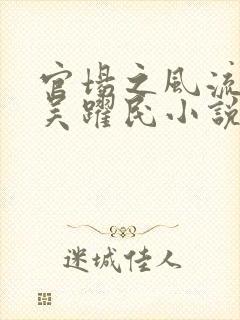 官场之风流医少吴跃民小说阅读
