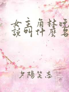 女主角林晚的小说叫什么名字