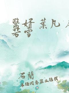 医婿 叶凡 唐若雪