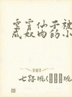 云霄仙子被调教成奴肉的小说