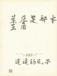 叶辰是哪本小说主角
