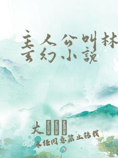 主人公叫林天的玄幻小说