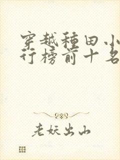 穿越种田小说排行榜前十名完结篇