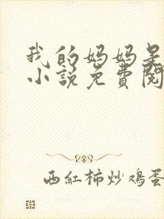 我的妈妈是小姐小说免费阅读全文