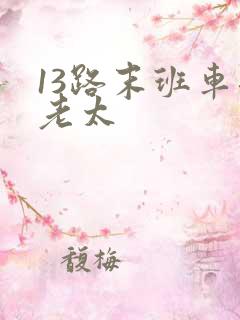 13路末班车邱老太