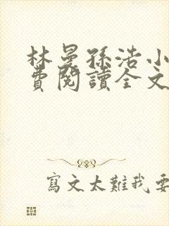 林曼孙浩小说免费阅读全文最新章节