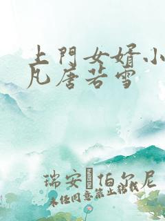 上门女婿小说叶凡唐若雪