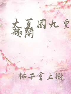 大夏国九皇子笔趣阁