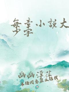 每章小说大概多少字