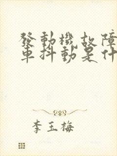 发动机故障灯亮车抖动是什么原因