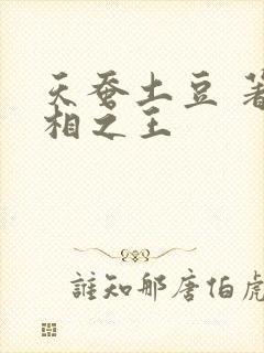 天蚕土豆 著万相之王