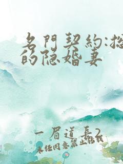 名门契约:总裁的隐婚妻