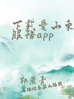 下载爱山东政务服务app