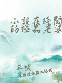 小说在线阅读我的极品老婆