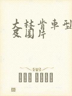 大林肯车型价格及图片