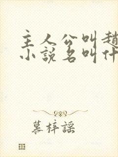 主人公叫赵旭的小说名叫什么