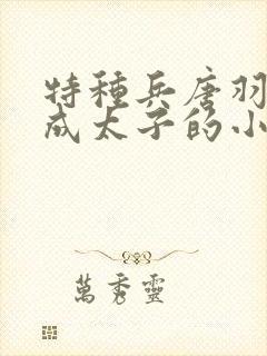 特种兵唐羽穿越成太子的小说免费