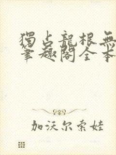 独占龙根无弹窗笔趣阁全本