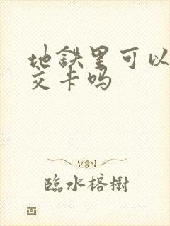 地铁里可以充公交卡吗 地铁里可以充公交卡吗