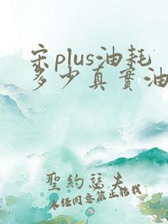 宋plus油耗多少真实油耗