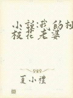 小说:我的极品校花老婆 小说:我的极品校花老婆