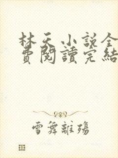 林天小说全文免费阅读完结篇