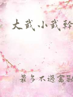 大武小武干黄蓉