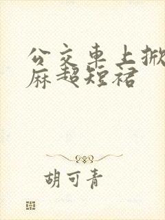公交车上掀开麻麻超短裙 公交车上掀开麻麻超短裙