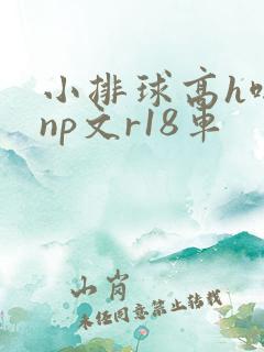 小排球高h啪肉np文r18车
