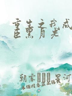 重生之我成了奸臣黑月光