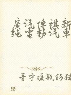 广汽传祺新能源纯电动汽车价格表
