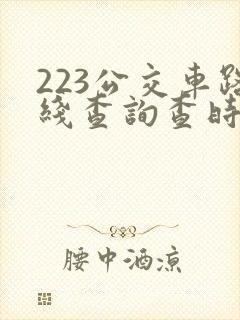223公交车路线查询查时间