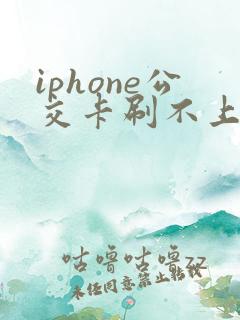 iphone公交卡刷不上