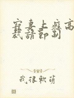 宠妻上瘾高冷总裁请节制