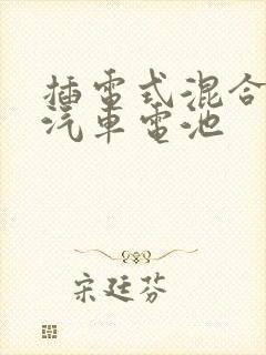 插电式混合动力汽车电池