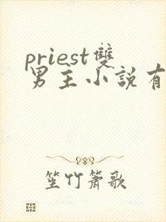 priest双男主小说有哪些