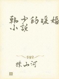 韩少的暖婚新妻小说