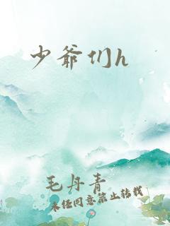 少爷们h