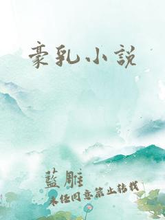 豪乳小说