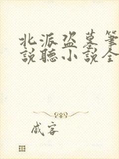 北派盗墓笔记小说听小说全集