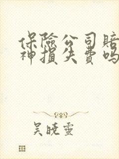 保险公司赔偿精神损失费吗