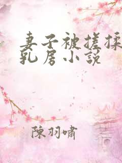 妻子被搓揉高耸乳房小说