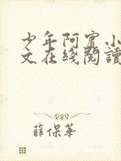 少年阿宾小说全文在线阅读