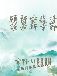 顾祈安苏清柔小说最新章节更新内容