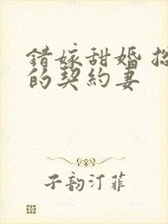 错嫁甜婚 总裁的契约妻