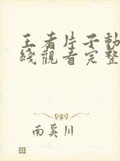 王者片子动漫在线观看完整版免费高清